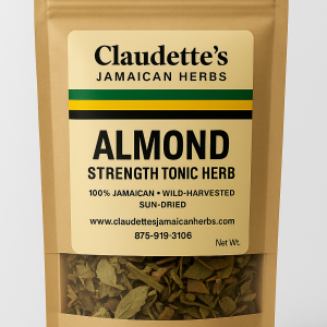 Dried almond leaves used in Jamaican bush medicine to support strength, circulation, and recovery